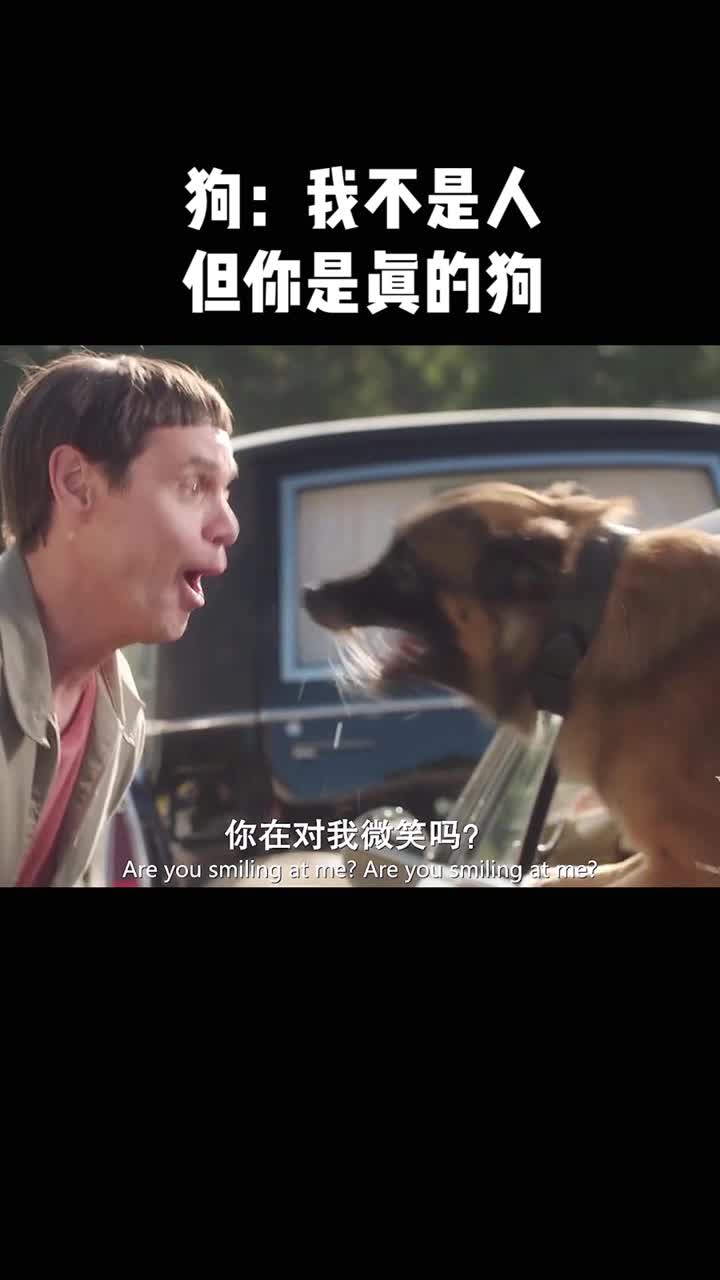 狗:虽然我不是人,但你是真的狗