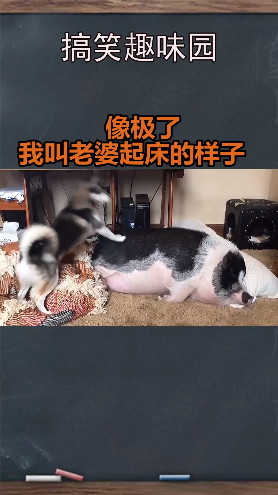 我要上热门#像极了  我叫老婆起床的样子