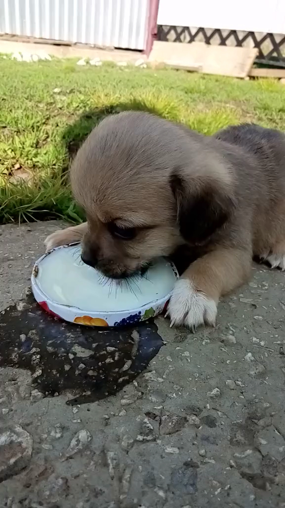 为什么会吞口水