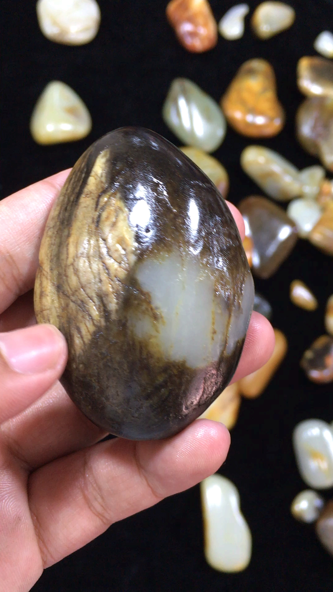 新疆和田玉籽料原石挑选中.金包玉一枚