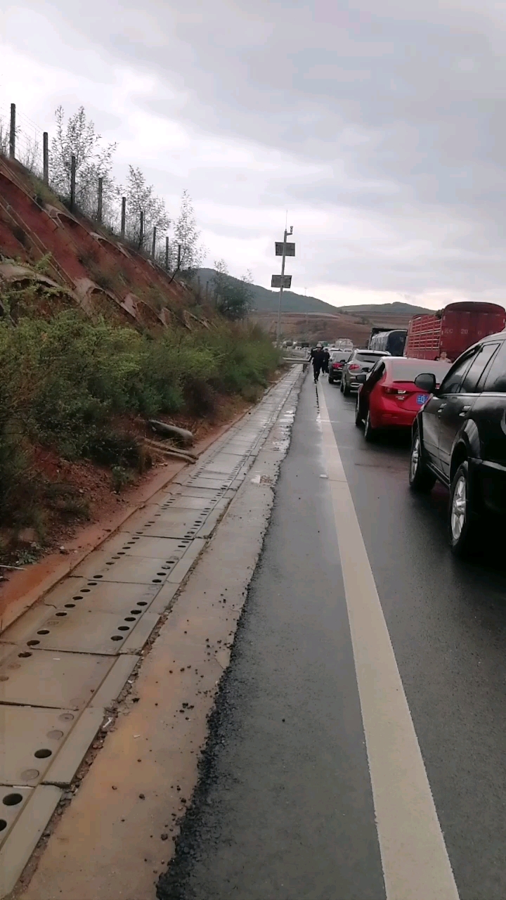 清明时节雨纷纷,路上塞车欲断魂!