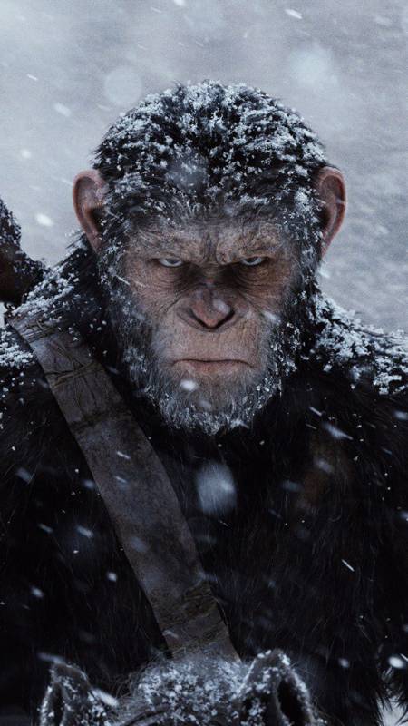 猩球崛起#第2集 | 当猩猩拥有人类的智商,你才知道是多么可怕