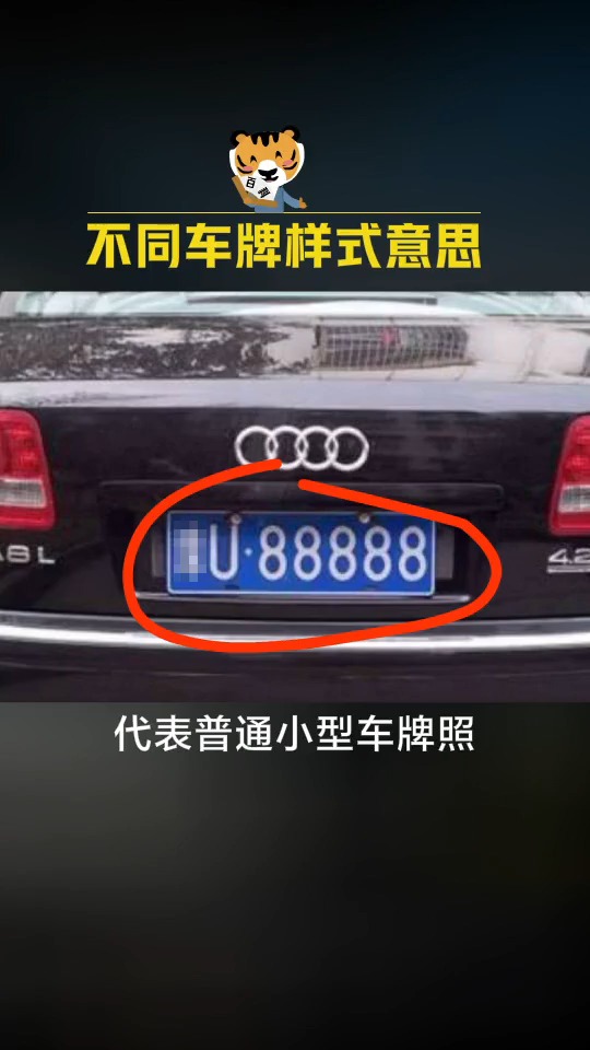 这些不同颜色的牌照,您都见过吗?