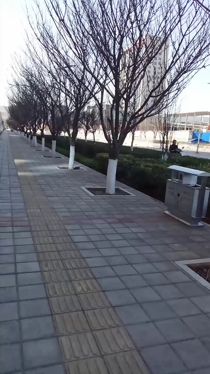 一个人独自走在大街上,多了一份凄凉和孤独,年关难熬,希望不好的事能