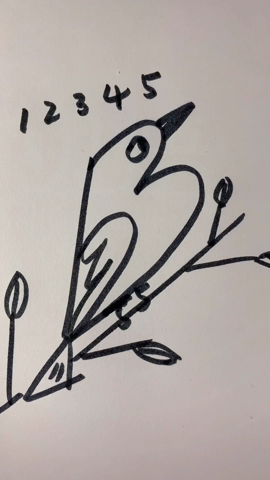 优秀如我#数字12345画成鸟儿童画 简笔画