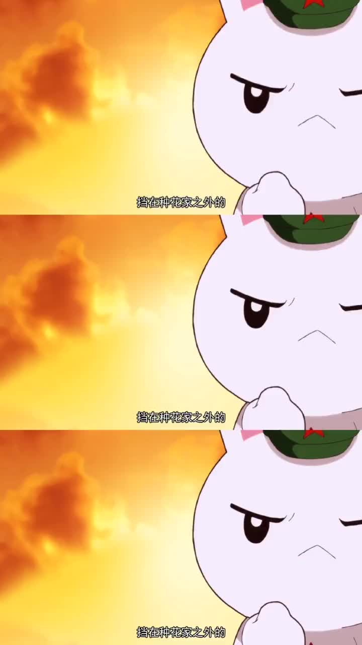 6_虽说小钱钱真心甜,但那时候也是太穷了#那年那兔那些事