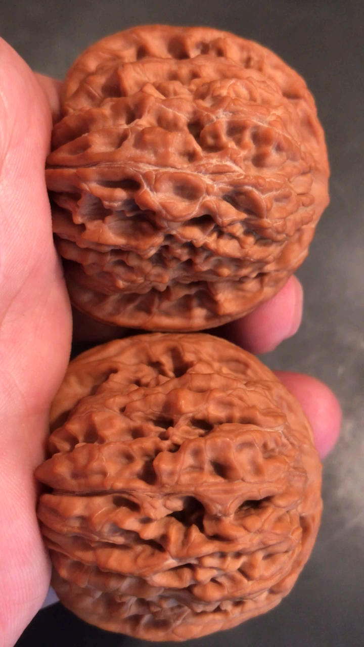 平谷四座楼,份量打手,漂亮的菊花底