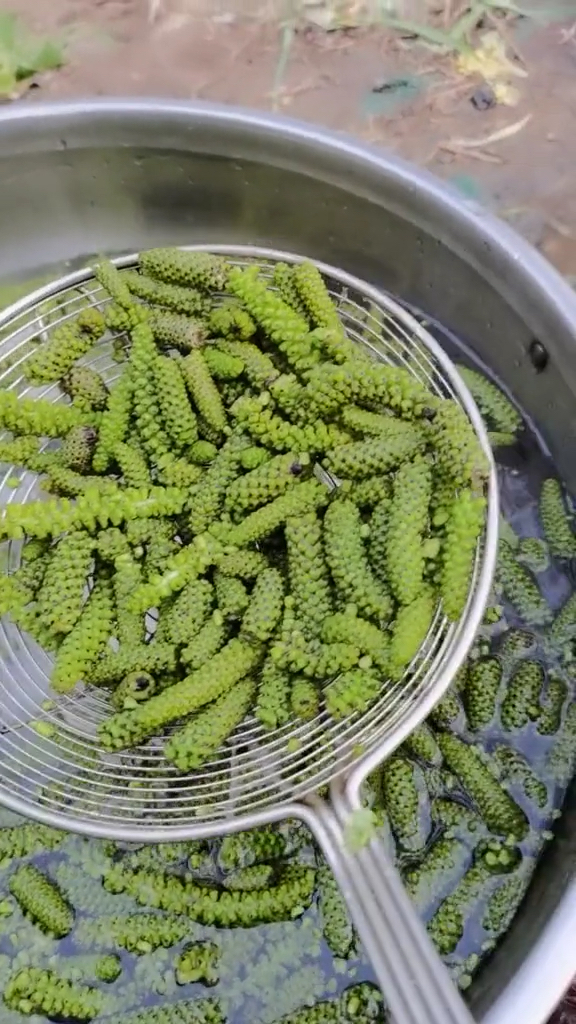 上次来了个"构棒槌",这次又来核桃花,在农村还有什么是不能吃的?