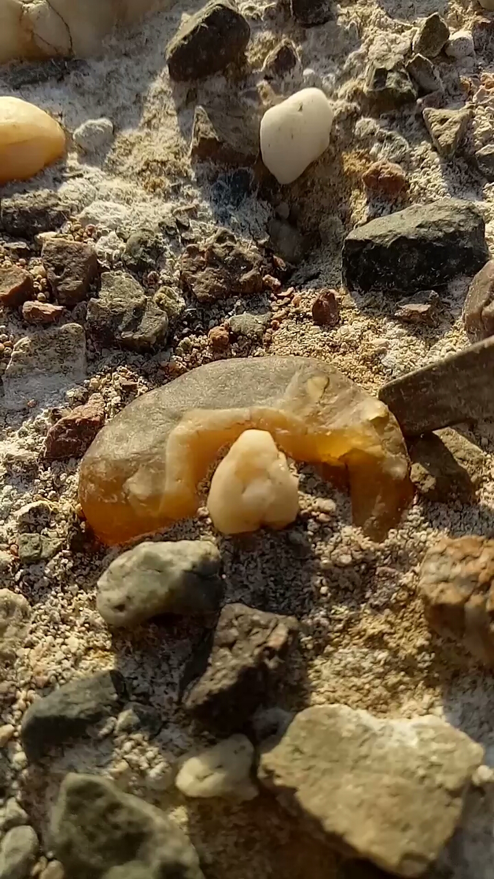 戈壁滩上的玛瑙.