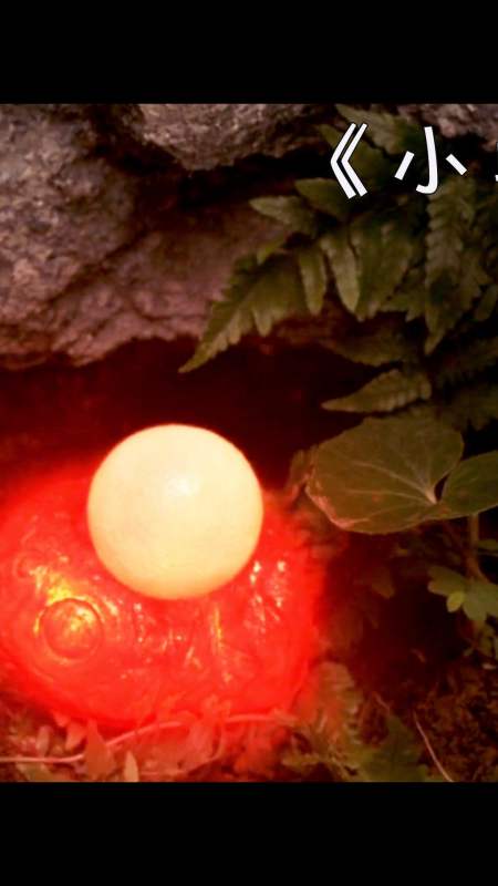 6万粉丝  关注四海龙王即将抵达浙江,抓紧溜车359越野小队出发1742这