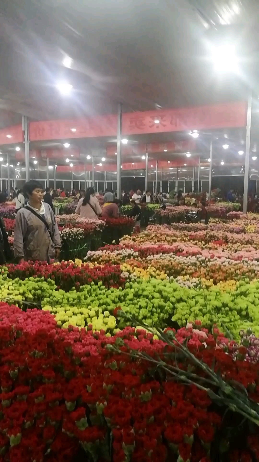 斗南鲜花市场——夜市