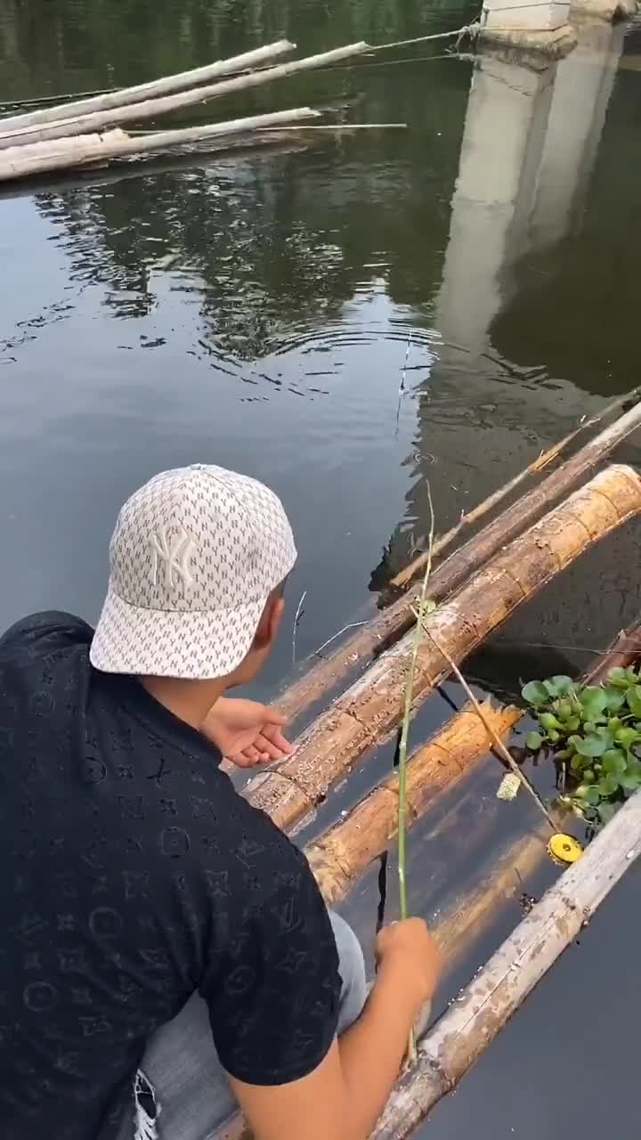 今天我用的是树枝钓鱼,收获满满啊!