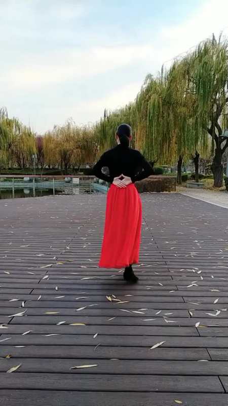 慢三基本步之字步适合初学者