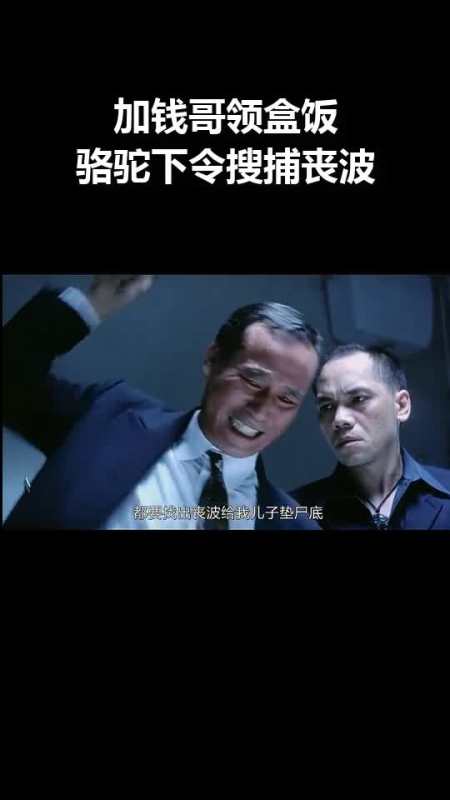 加钱哥领盒饭骆驼下令搜捕丧波