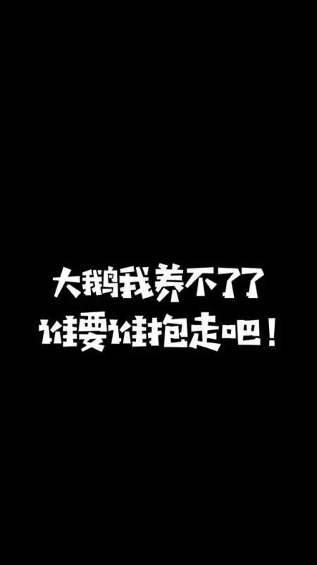 搞笑萌宠#大鹅我养不了了,谁要谁抱走