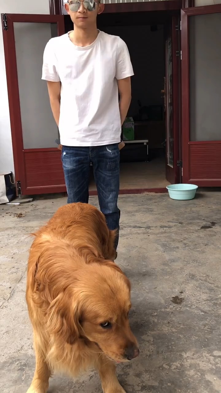 对不起郭老师,主要是太喜欢你了?