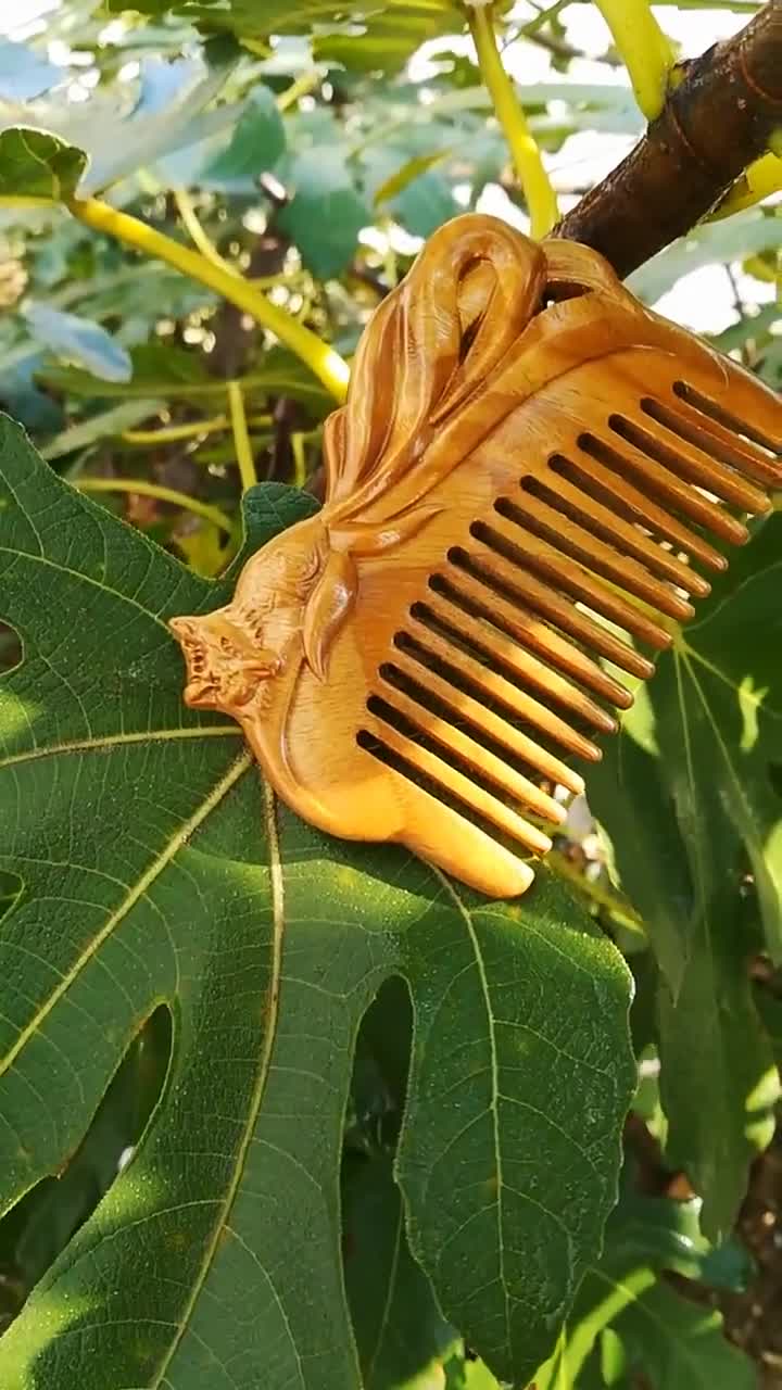 玉檀香木九尾狐梳与成熟无花果.