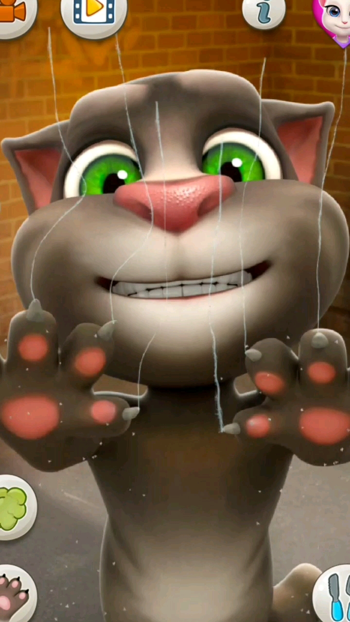 你们说汤姆淘气不!