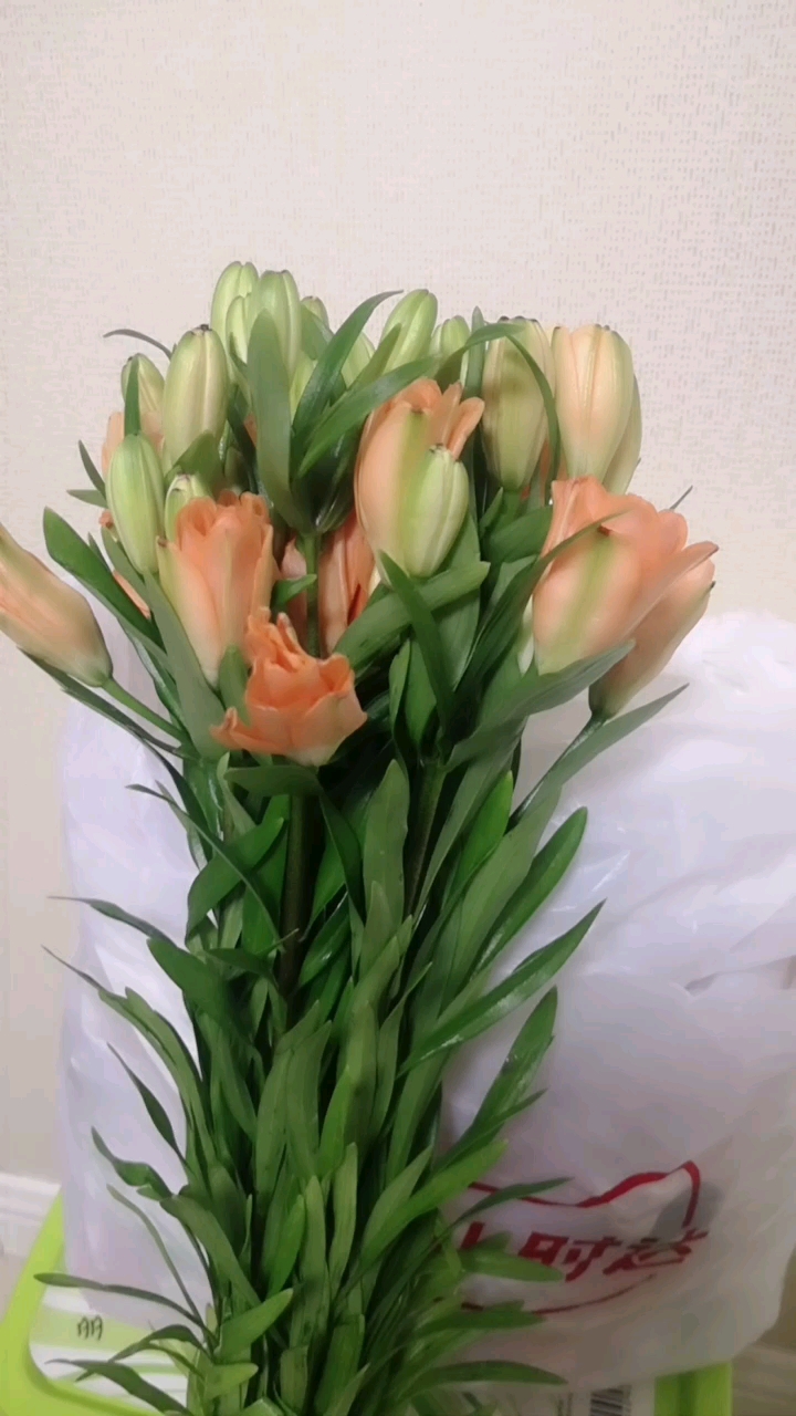 迎新年测好运#橙色重百合瓣