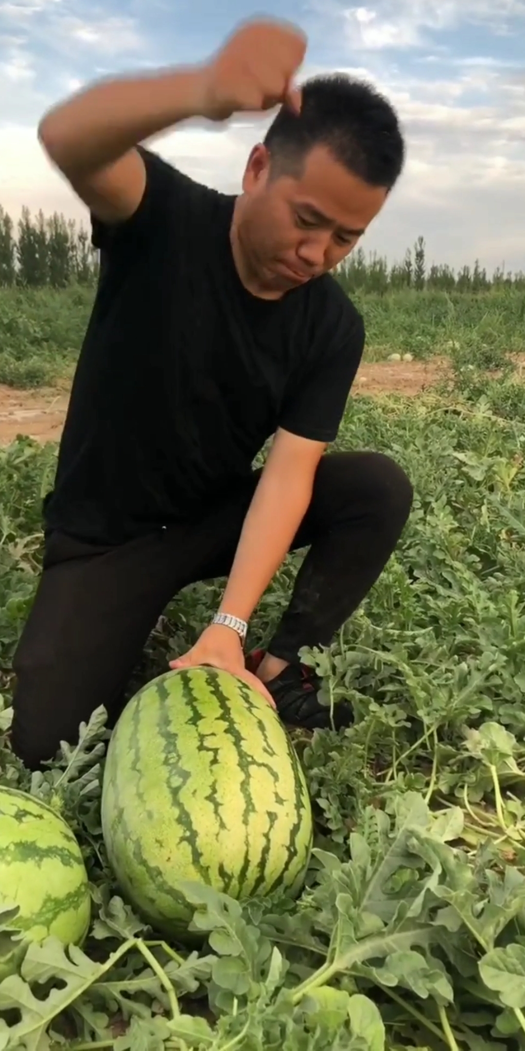 听说用拳头开的西瓜口感特别甜