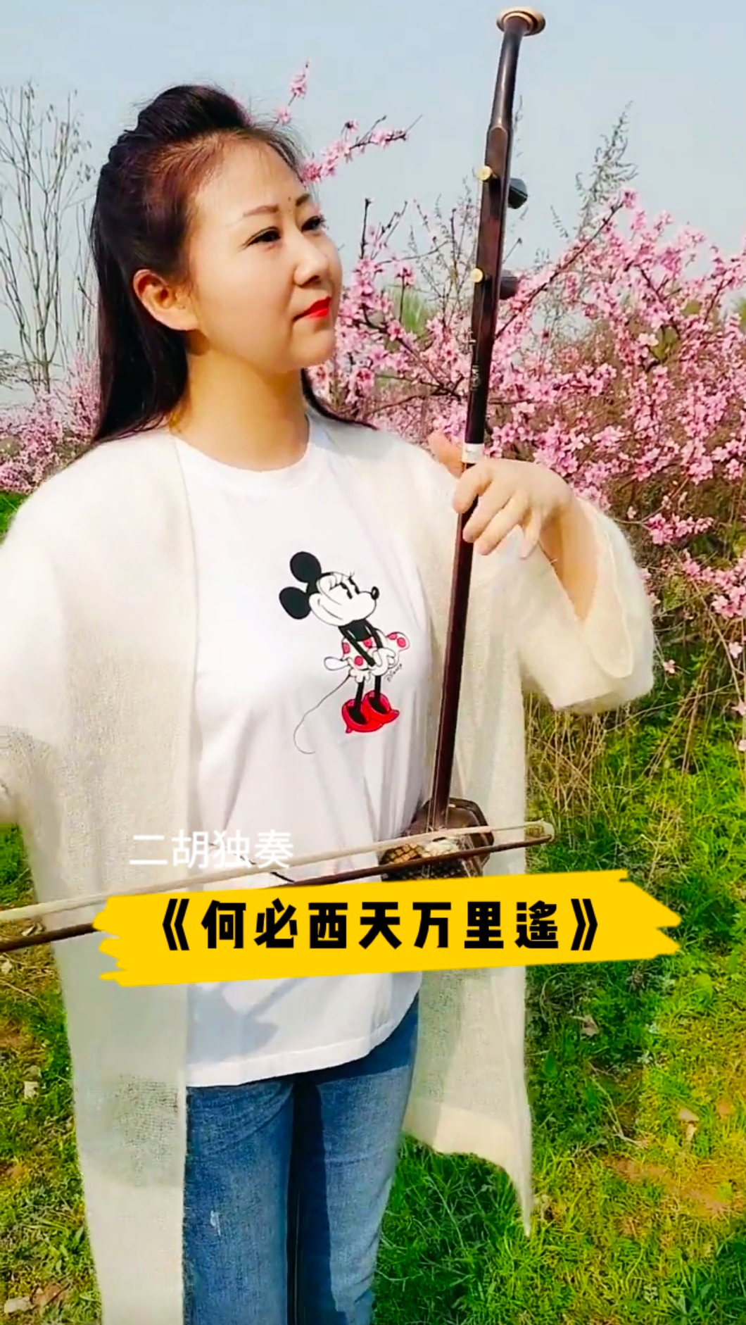 迷惑行为大赏美女二胡独奏何必西天万里遥琴韵柔美悦耳动听传承弘扬