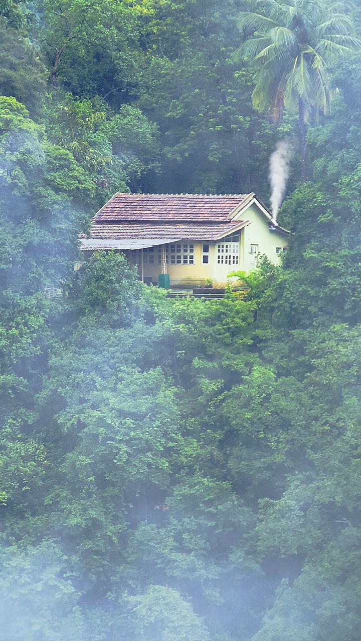 最美的风景#待我了无牵挂,从此归隐深山,老屋为家