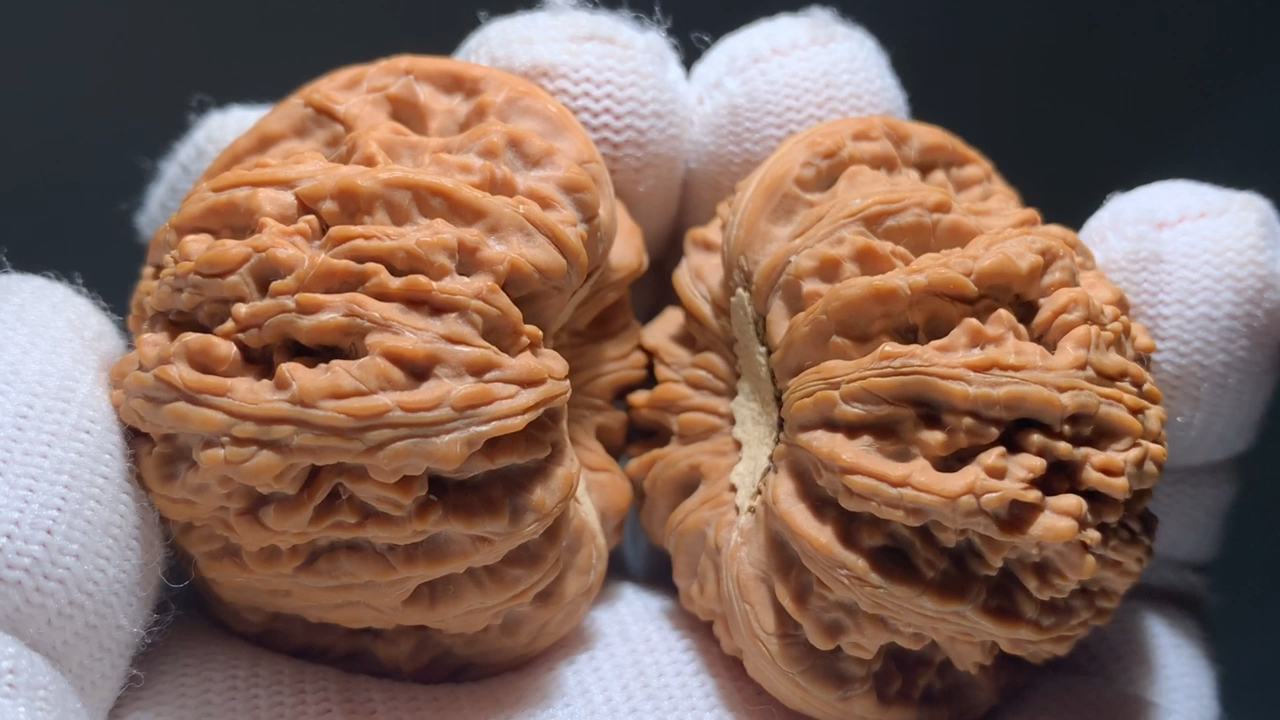 文玩核桃#大凹底密纹狮子头,超级大凹底