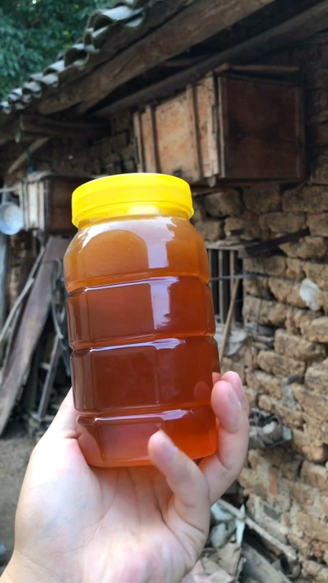 在山里伯伯家里取的野生土蜂蜜,品质非常好
