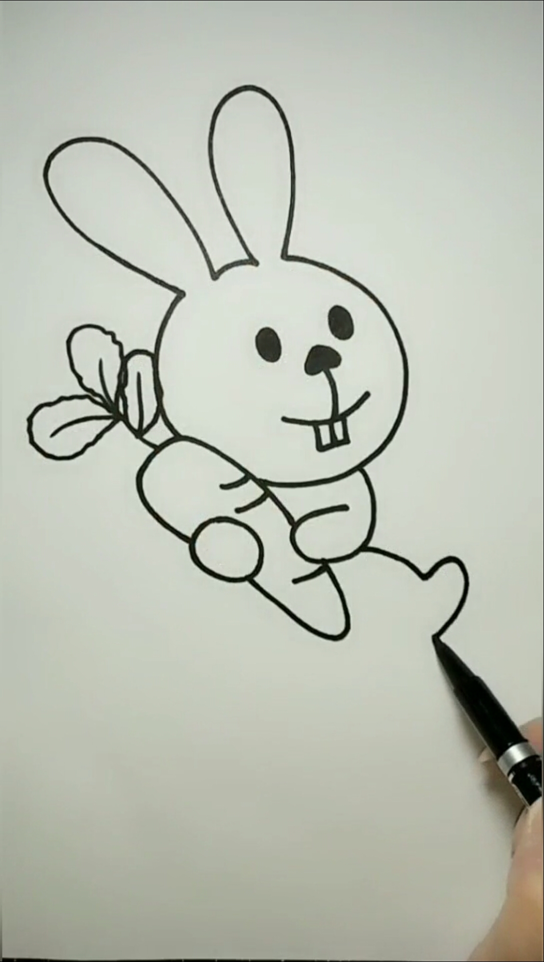 抱萝卜的兔子