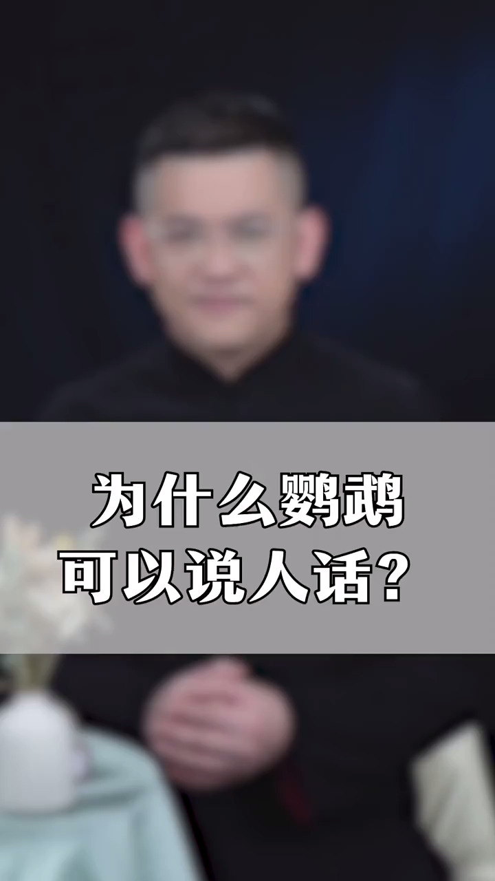 为什么鹦鹉可以说人话其他鸟类却不可以呢 杂谈 百科 涨知识