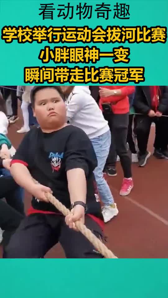 学校举行运动会拔河比赛,小胖眼神一变,瞬间带走比赛冠军