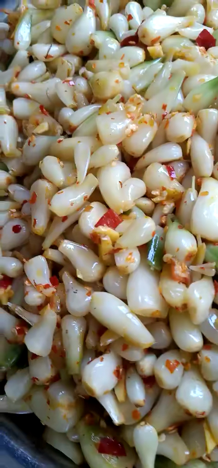 荞葱头真好吃,爱的人很多