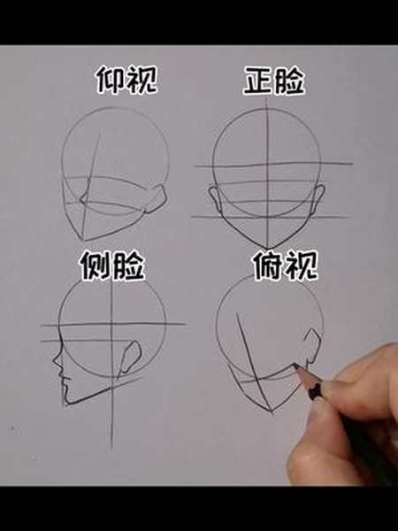 教你画四种脸型周末快乐哟画画学浪计划画画教程动漫画画教程