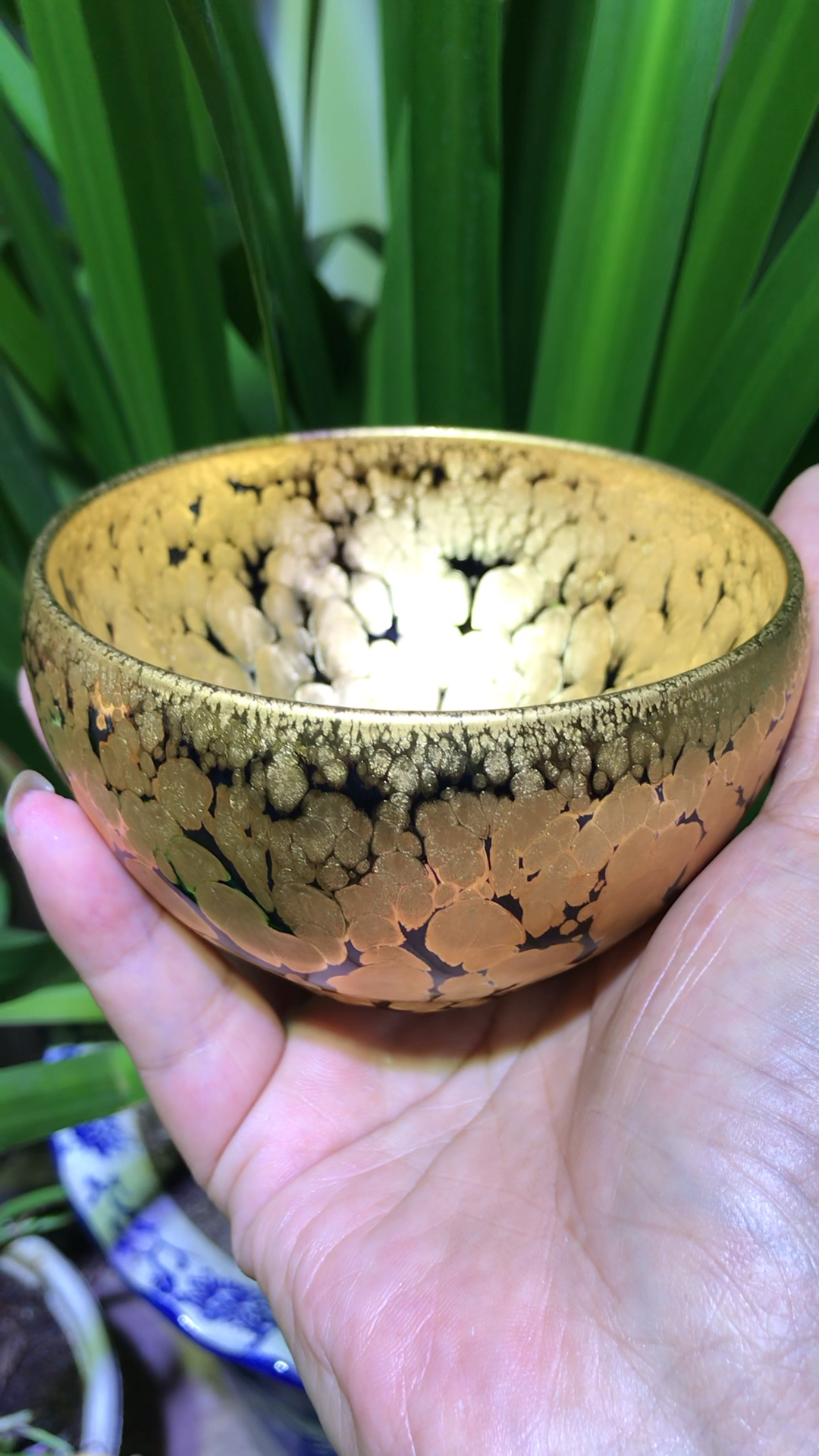 无惧素颜#现代工艺建盏之金盏