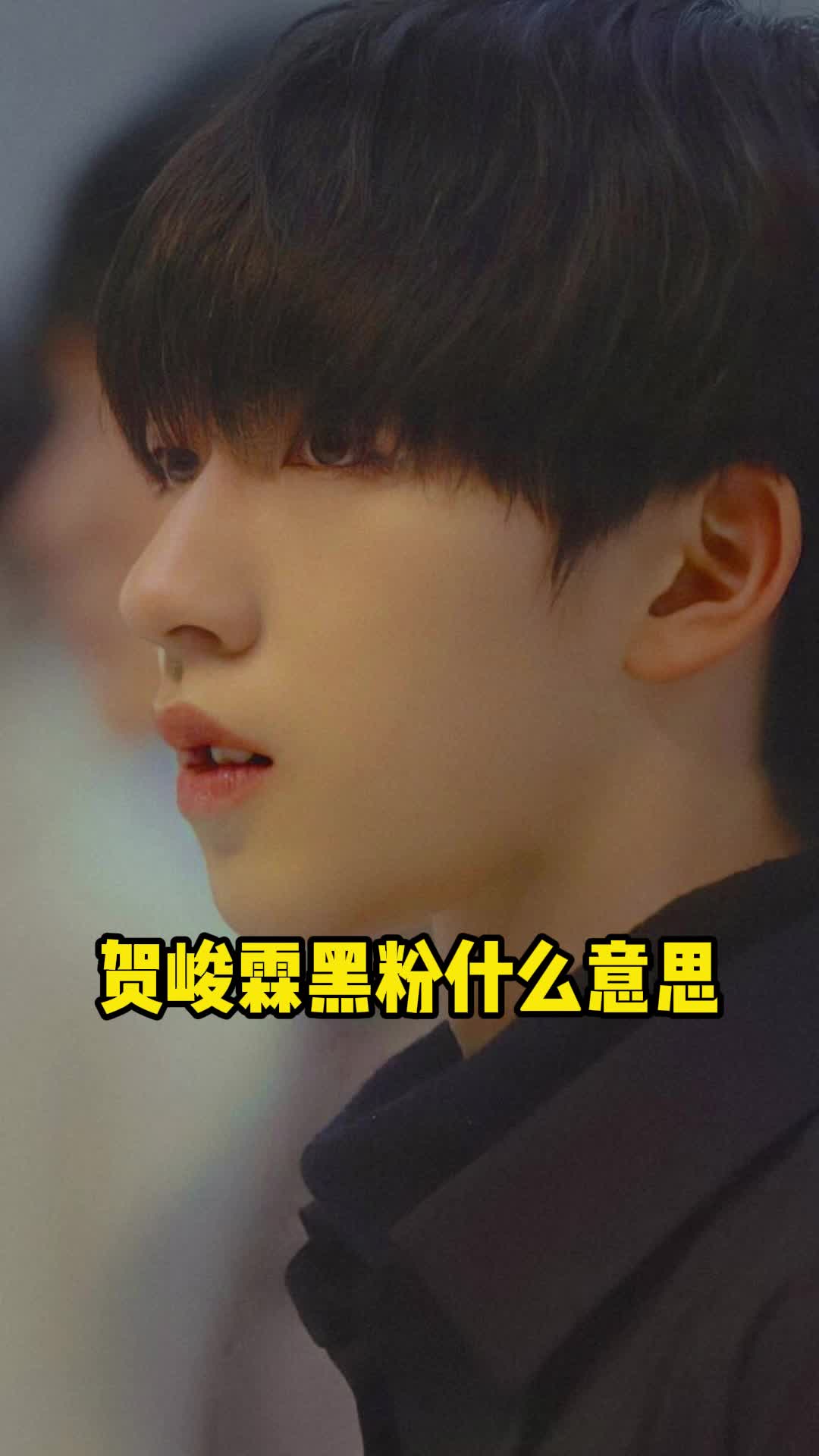 贺峻霖黑粉什么意思你知道了吗