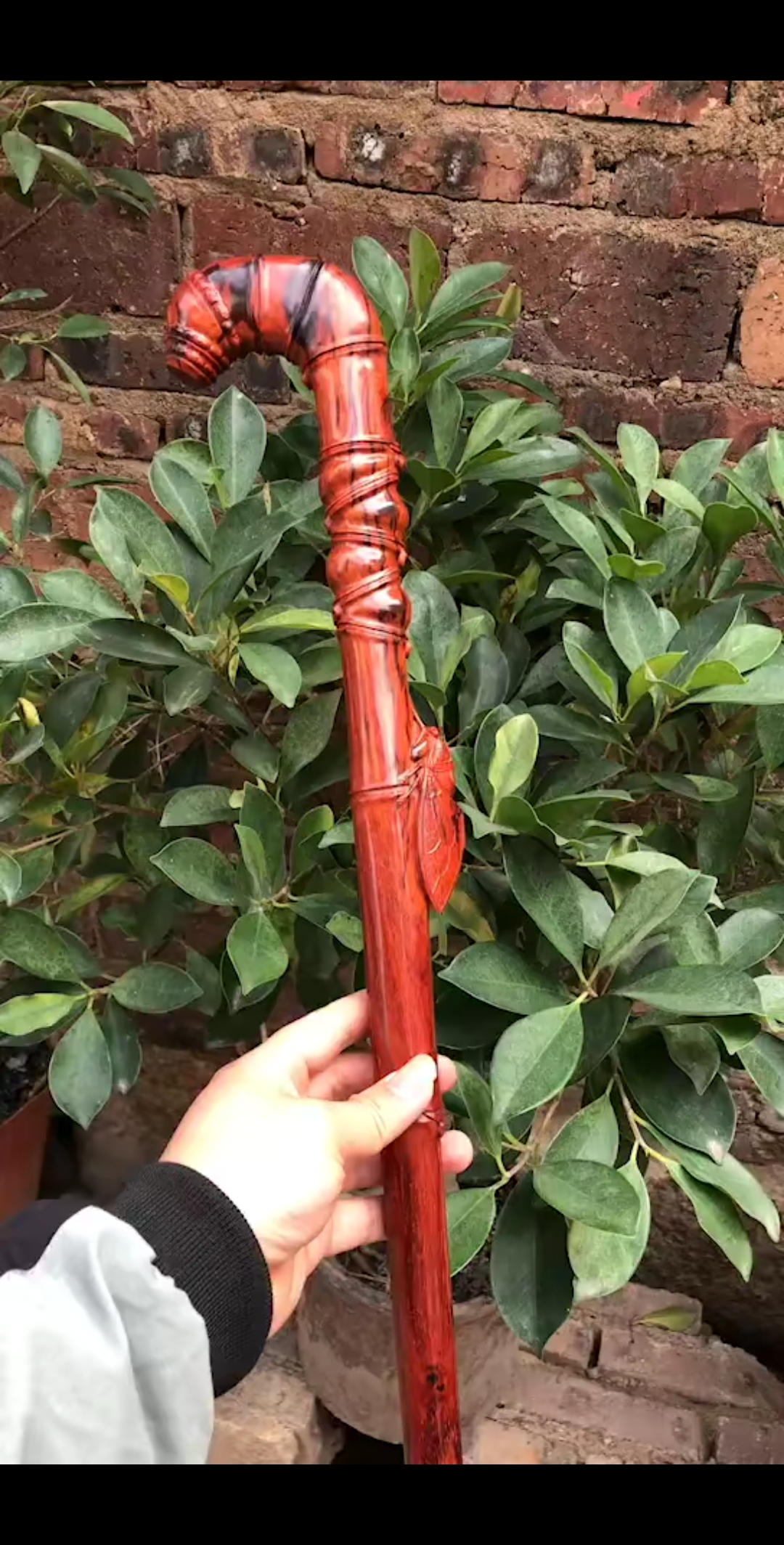 印度小叶紫檀拐杖