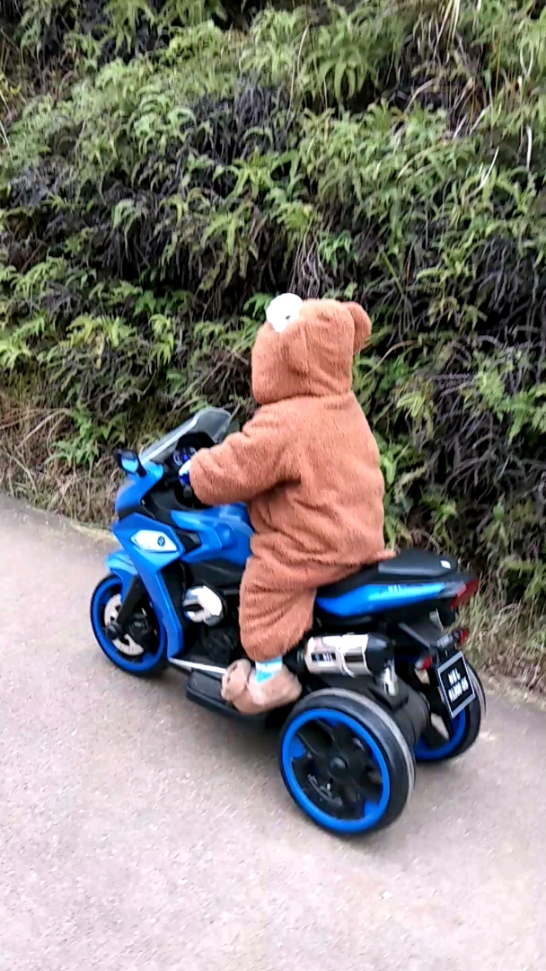 两岁熊宝宝骑摩托车