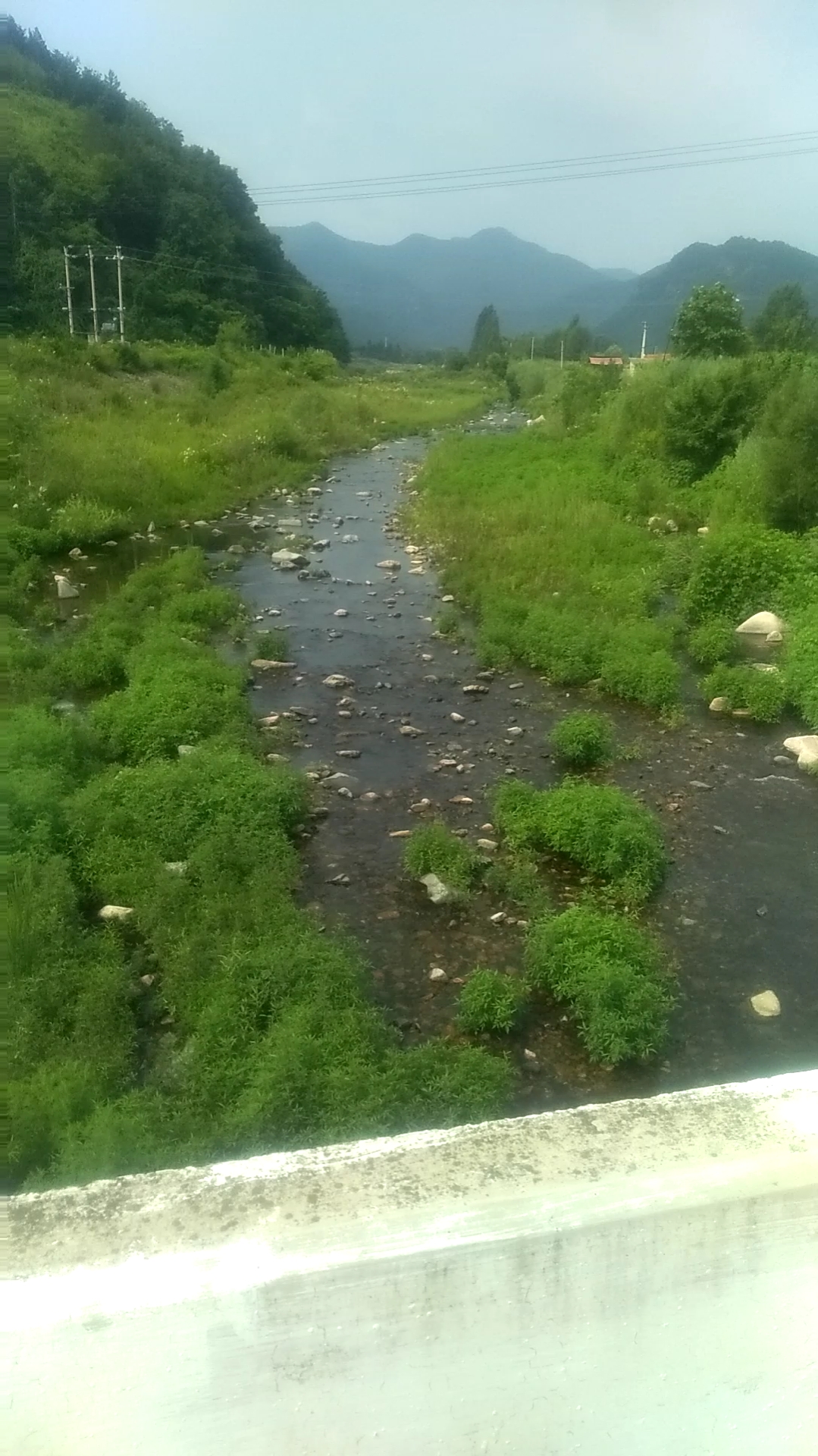 乡村生活#乡村小河流,清澈见底.