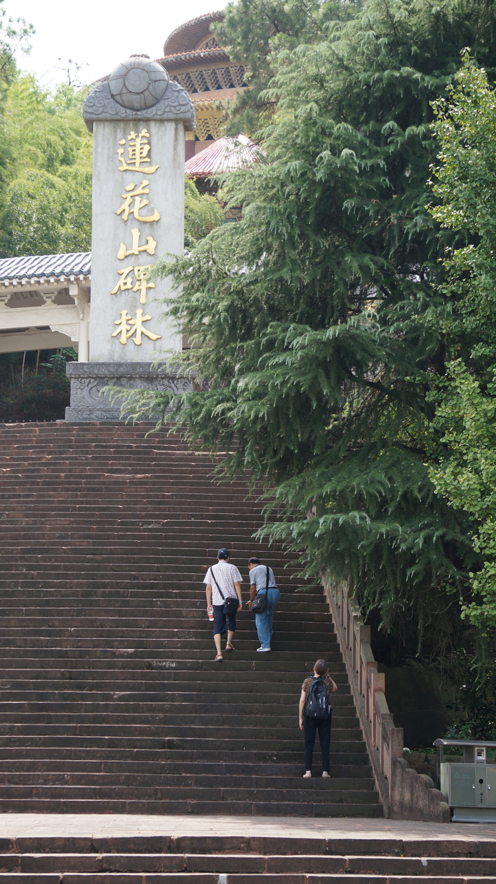 带上全民去旅行#鄂州市莲花山公园碑林建筑奇特,道教文化底蕴深厚,你