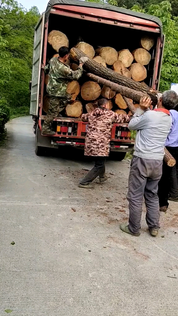 木头装车真不容易啊!