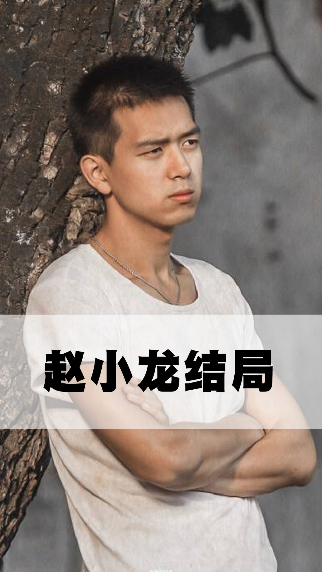 赵小龙结局