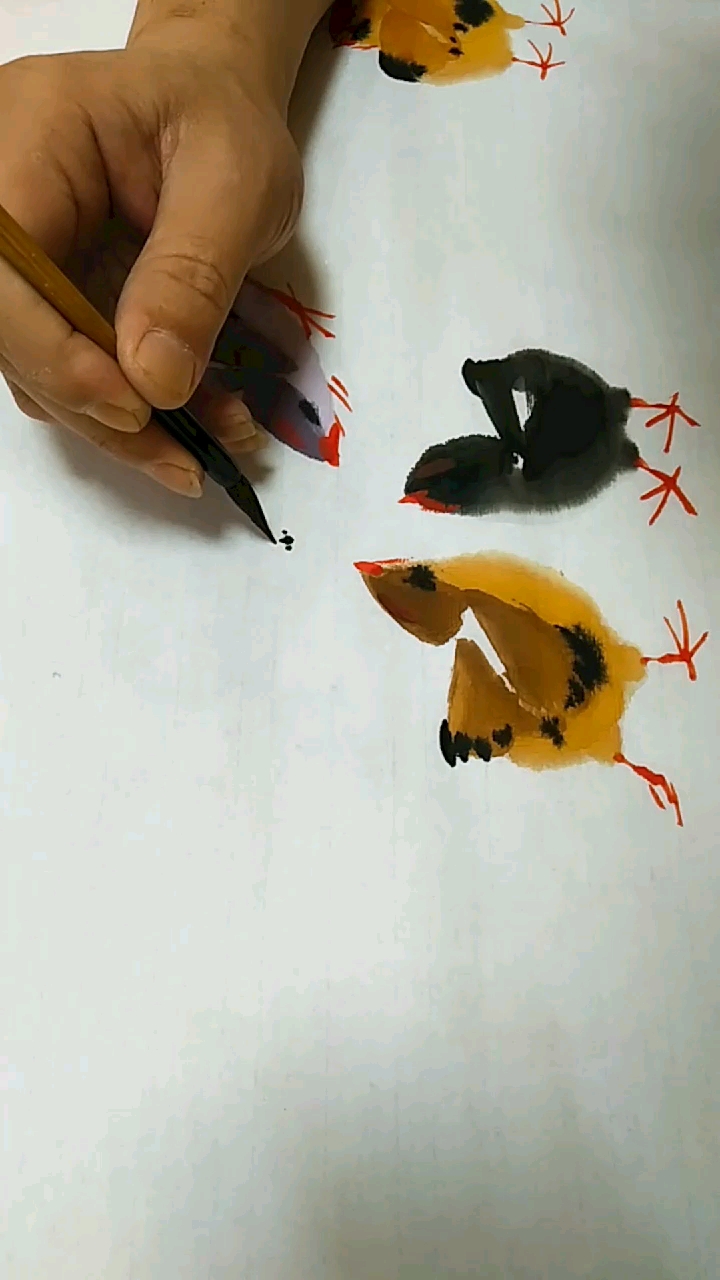 蜘蛛寓意喜从天降