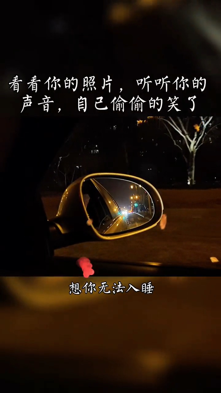 夜深人静的时候,我想你了就会拿起手机看看你的照片在这个失眠的夜里