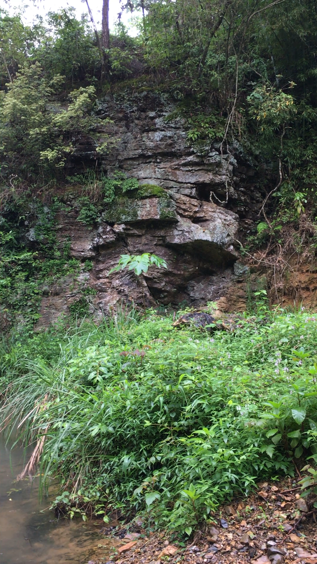 五一出游记#江西农村山好水好,喜欢的老铁给个赞呗