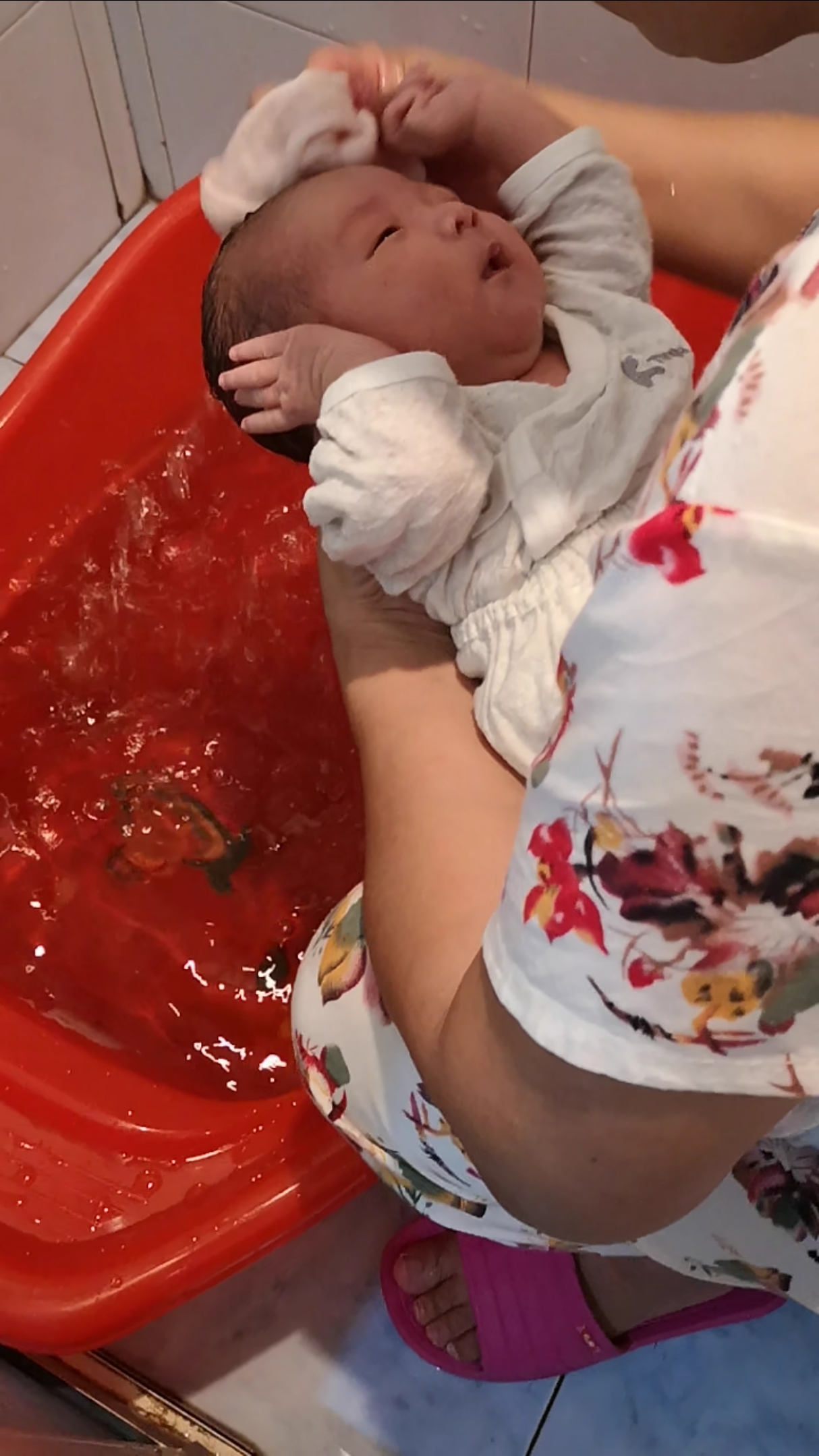 小小爱宠萌化你#小开开出生第18夭.洗白白,洗香香