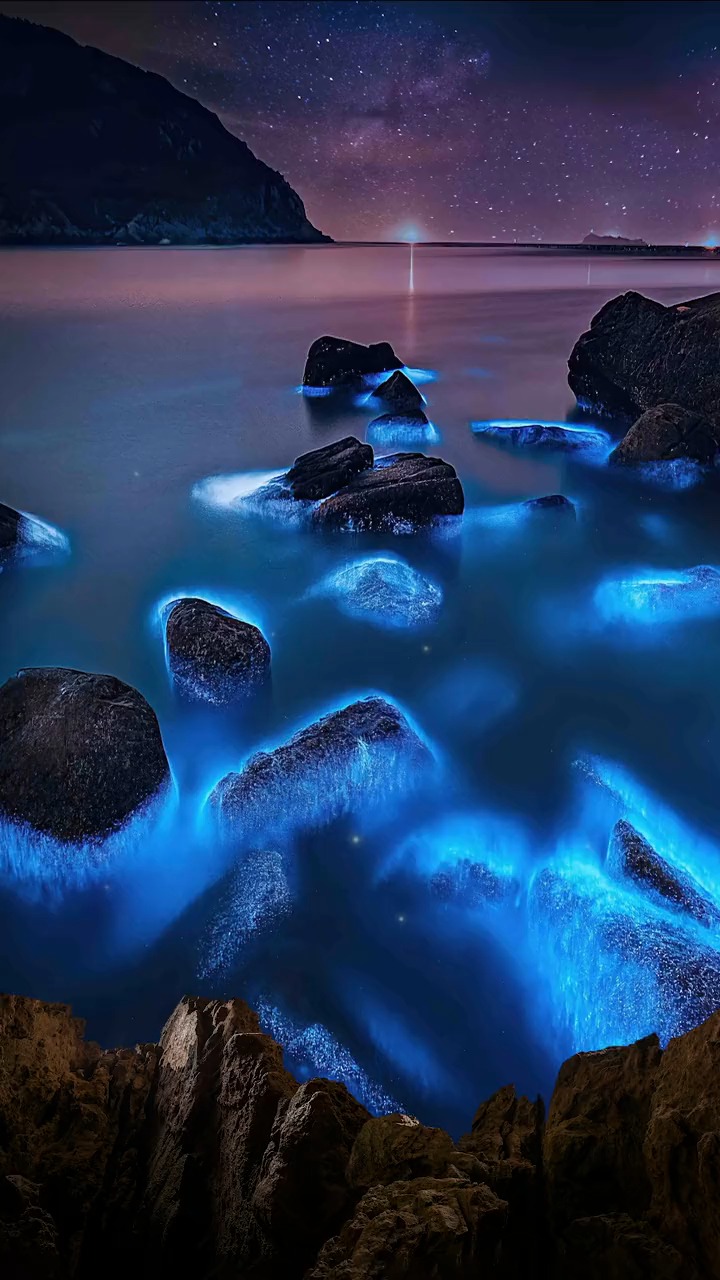 你听说过蓝眼泪吗,这是在海底生存的荧光生物,离开海水的蓝眼泪只能