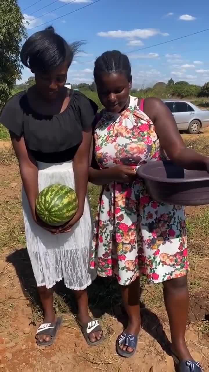 非洲是这样种西瓜的?感觉怎么被骗了呀?