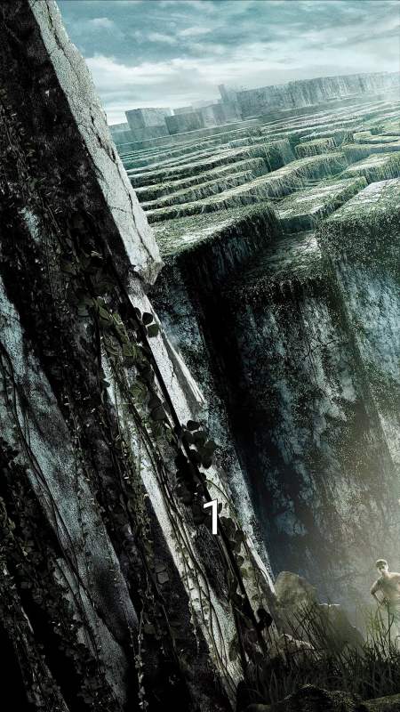 我的观影报告移动迷宫一群少年被关在迷宫里上演电影版神庙逃亡