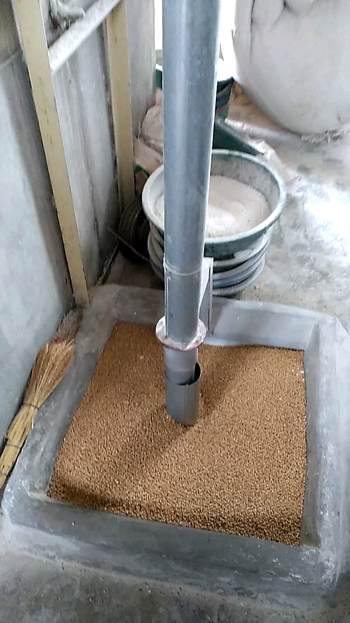 小麦磨成面粉的过程