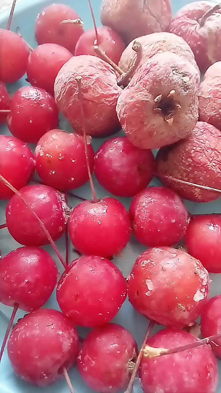 糖李子山楂冻得,可好吃了